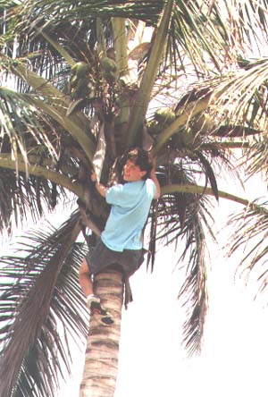 Santa Domingo, Dominican Republic