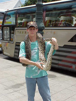 What I found in Thailand